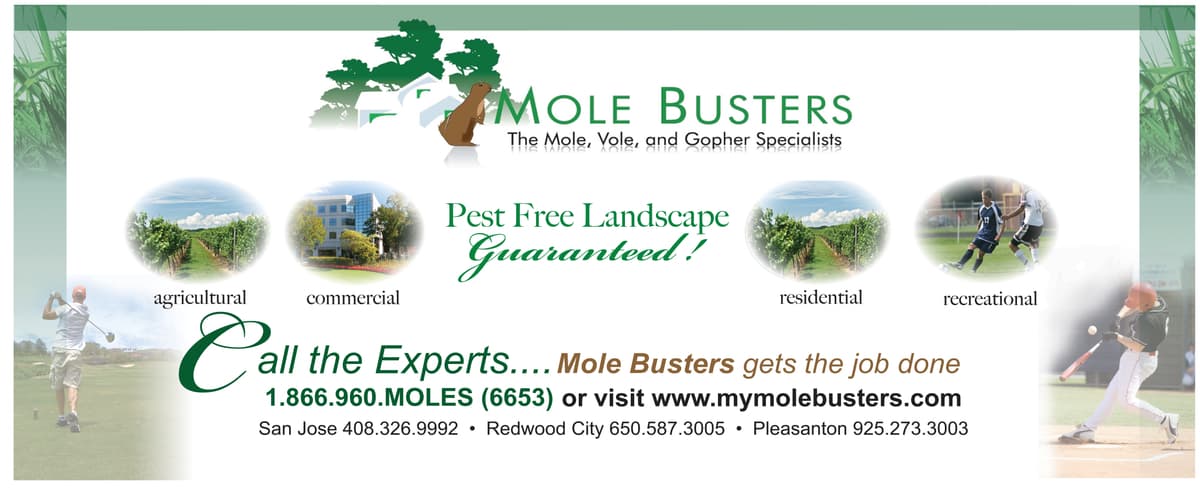 Mole Busters business card